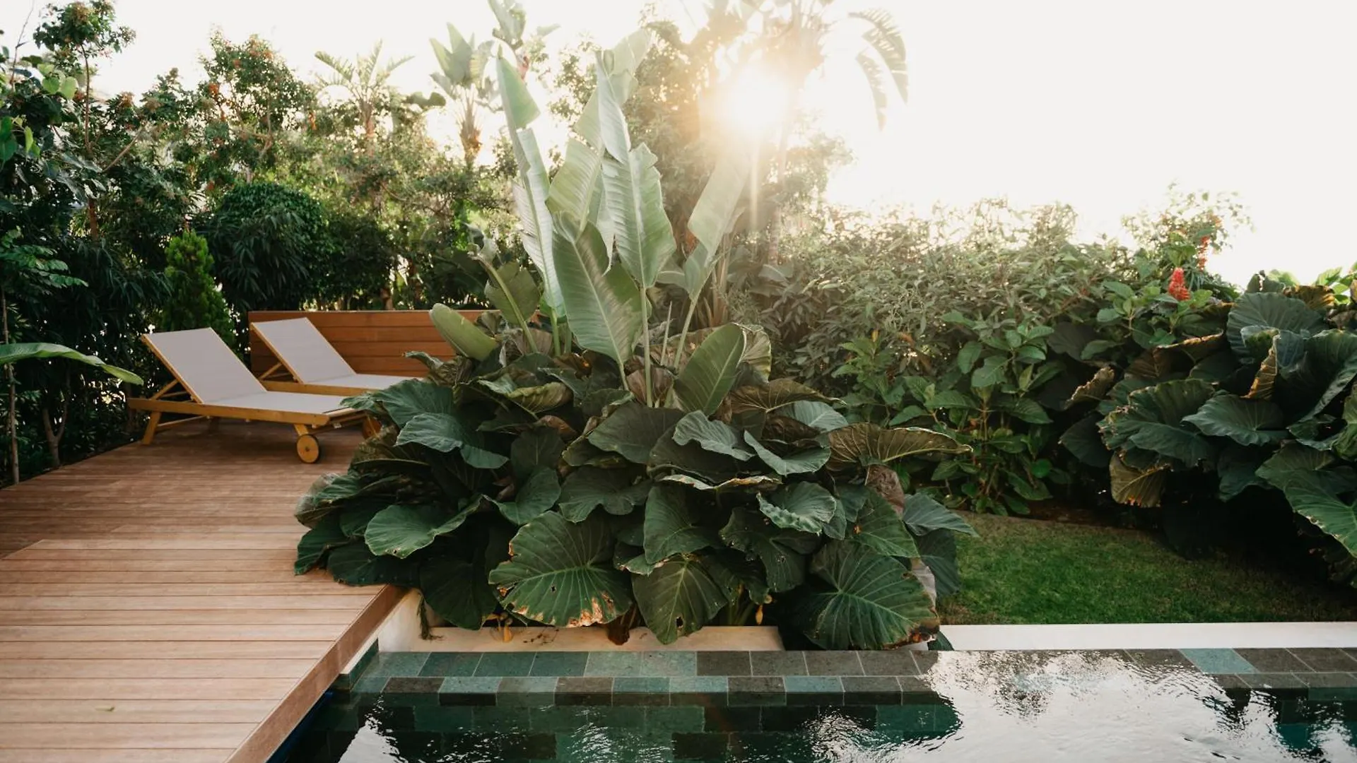 Serenity Villa On The Cliff With Climatized Pool Sauzal
